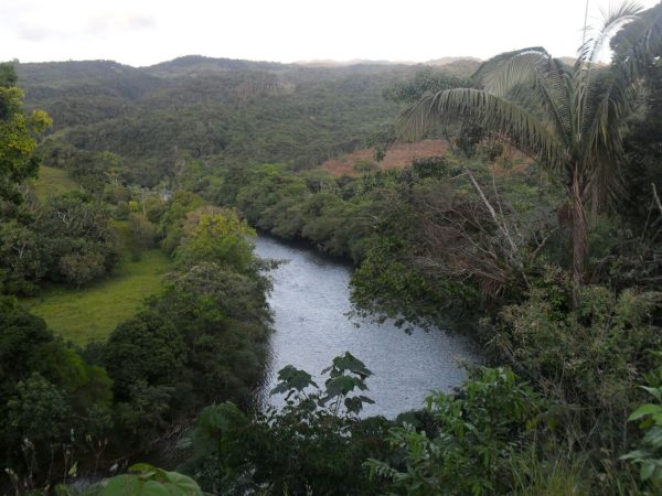 ¡Caquetá está listo para el Festival Folclórico de la Amazonía!