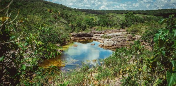 "¡Ni 1 grado más, ni 1 especie menos!", el grito de La Hora del Planeta en 2021