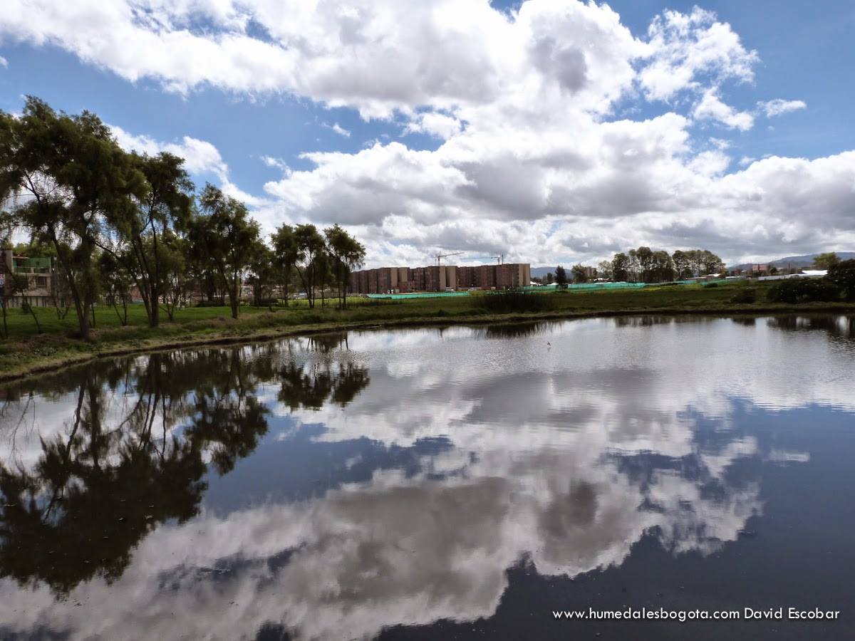 Bogotá celebra el Día Mundial de los Humedales