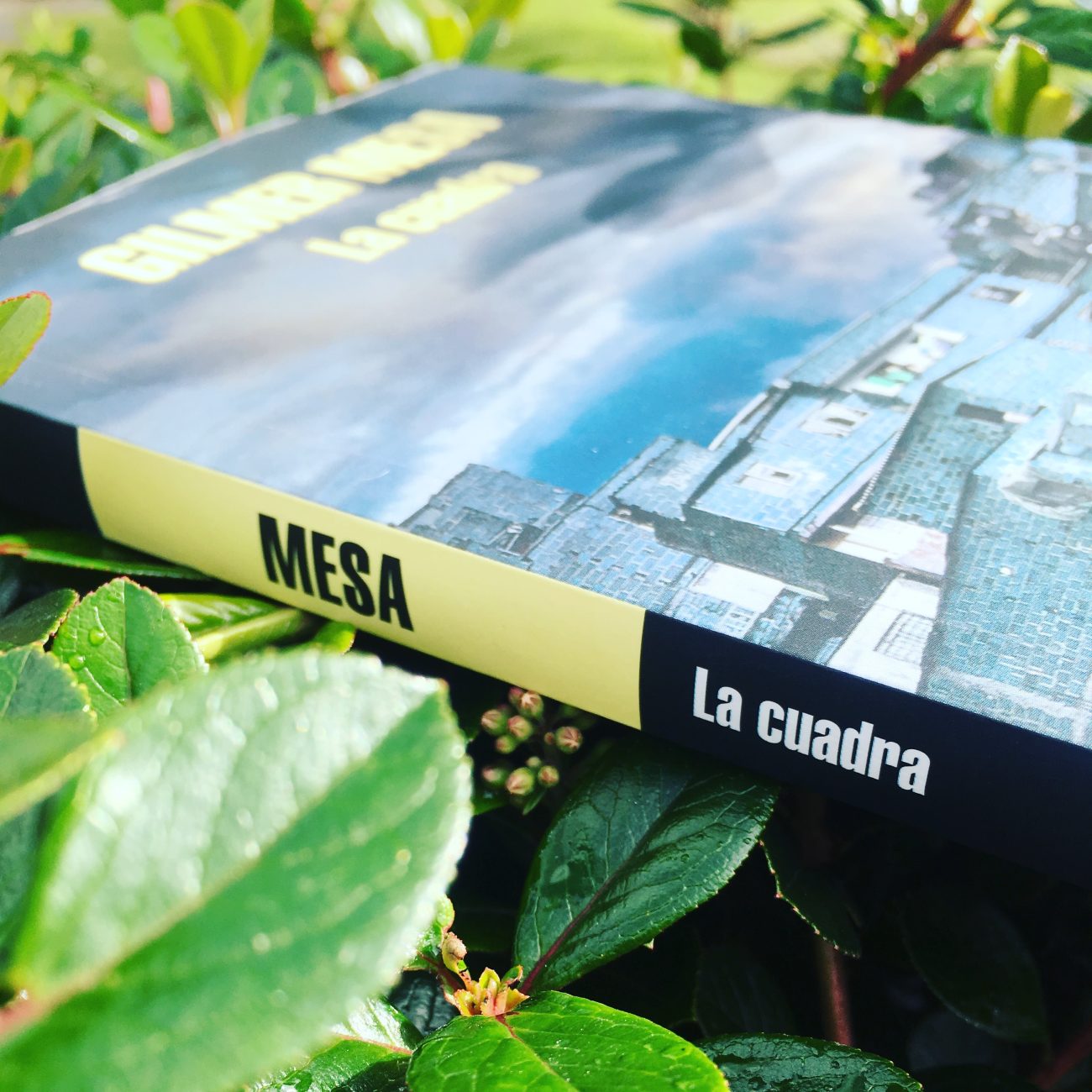 Las mejores novelas colombianas según el Premio Nacional de Novela