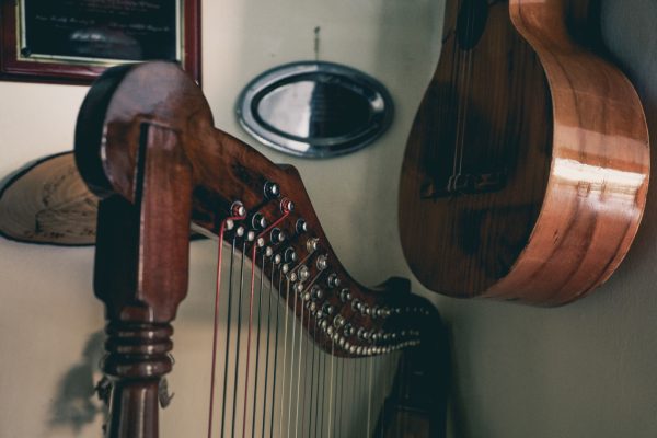 Notas sueltas sobre el joropo