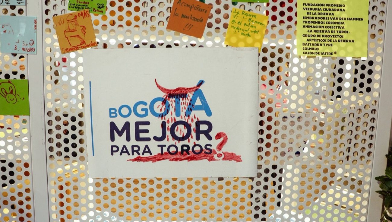 El arte, los colores y el sonido se 'Tomaron el MAMBO'