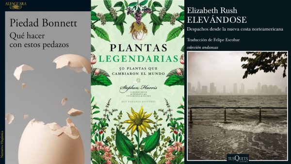 Once novedades editoriales para leer en noviembre