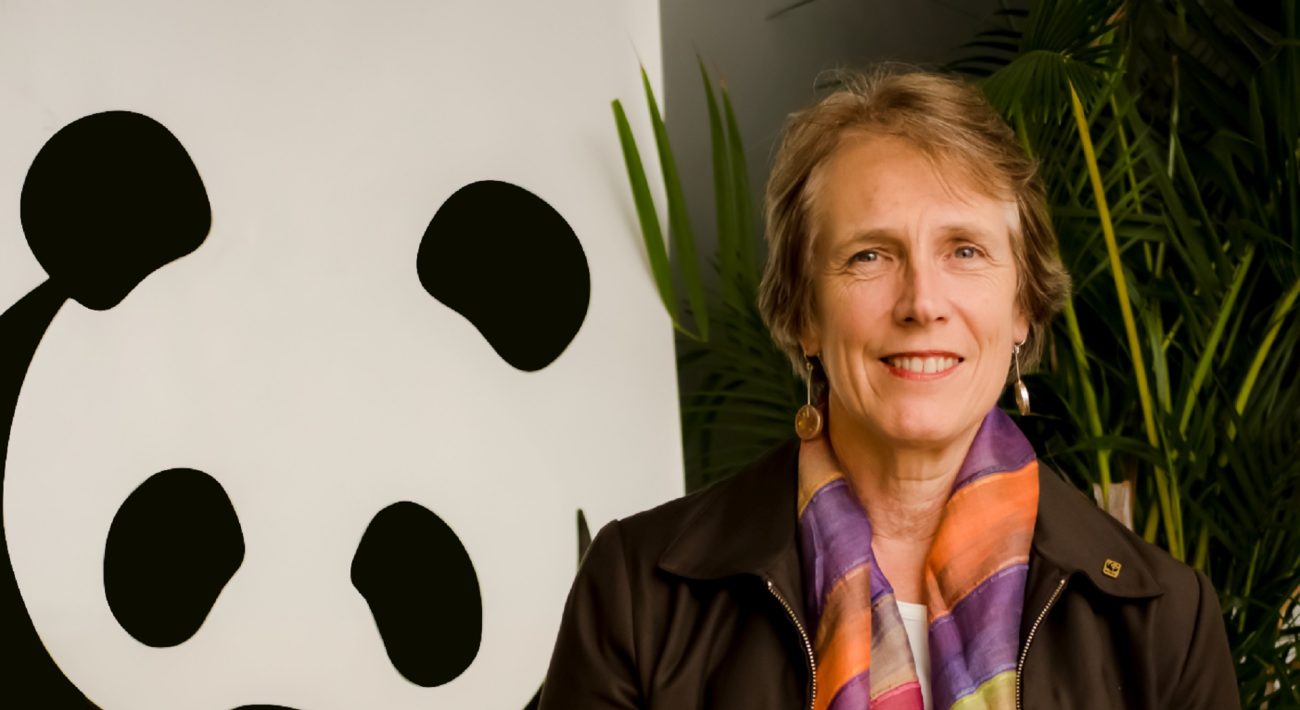 Mary Louise Higgins: entre un panda, insectos y Colombia