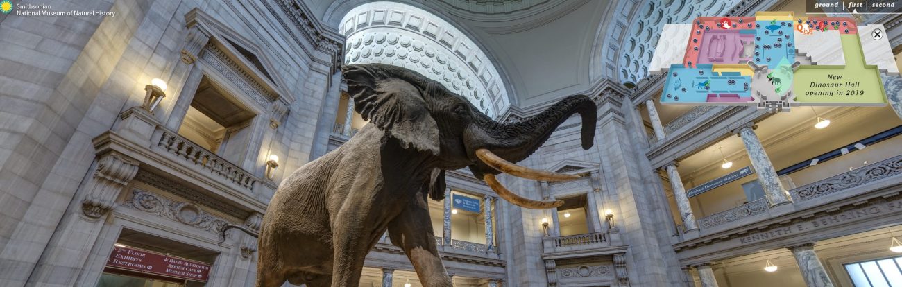 Visita todos estos museos sin salir de tu casa