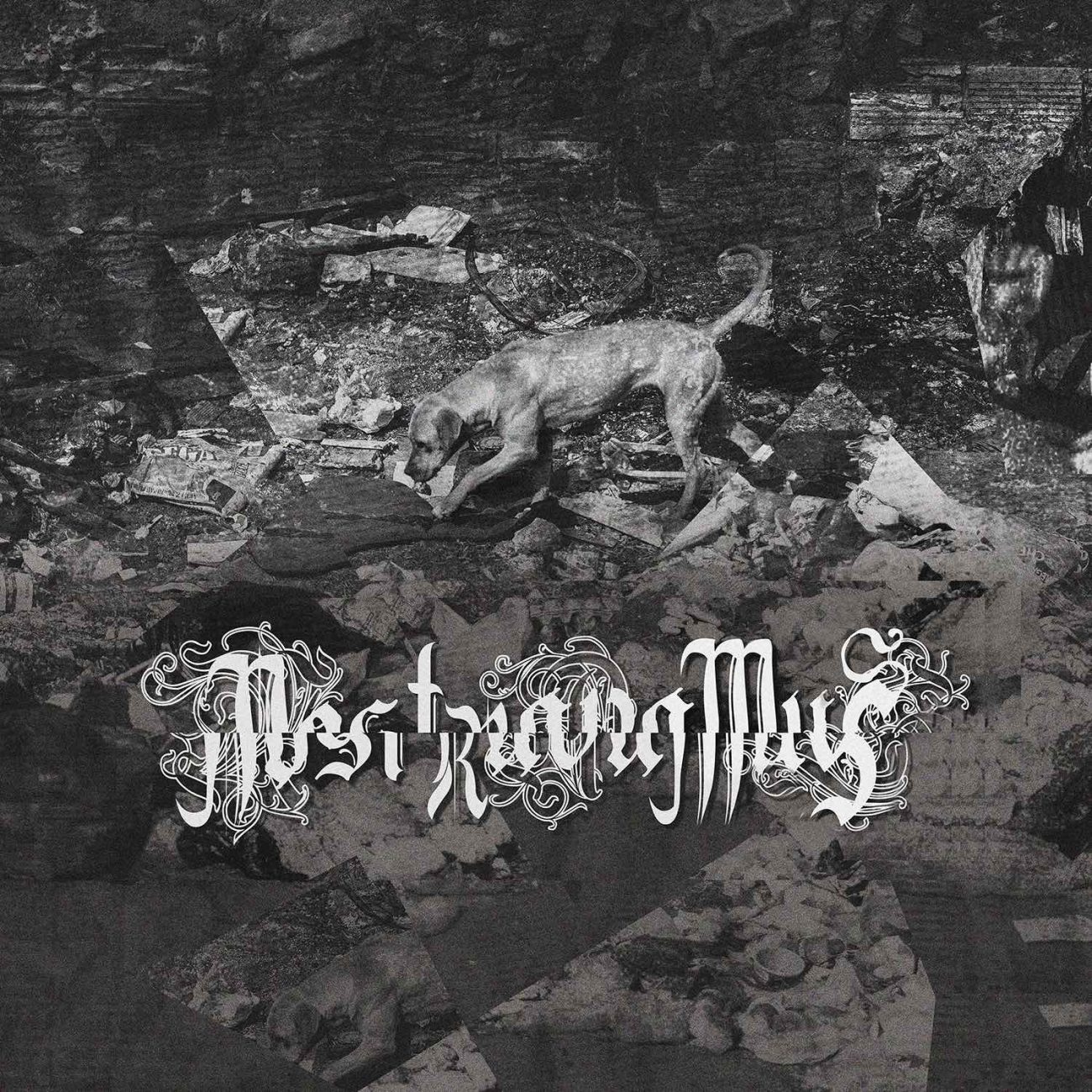 Nostravamus: música de universo distópico