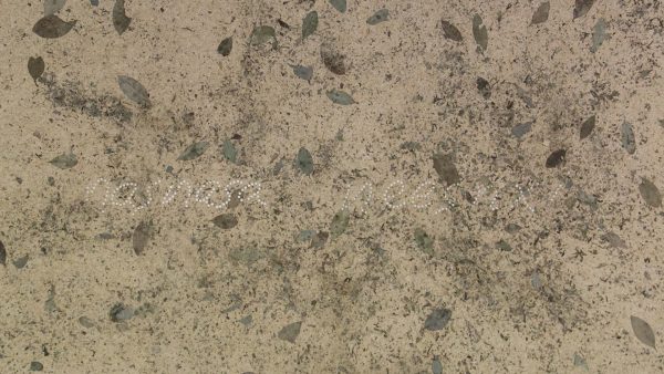 ‘Paisaje, naturaleza y territorio’: el nuevo ciclo expositivo del MAMBO