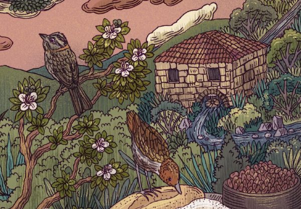 Un coplero ilustrado: el maestro Jorge Velosa publica ‘El convite de los animales’