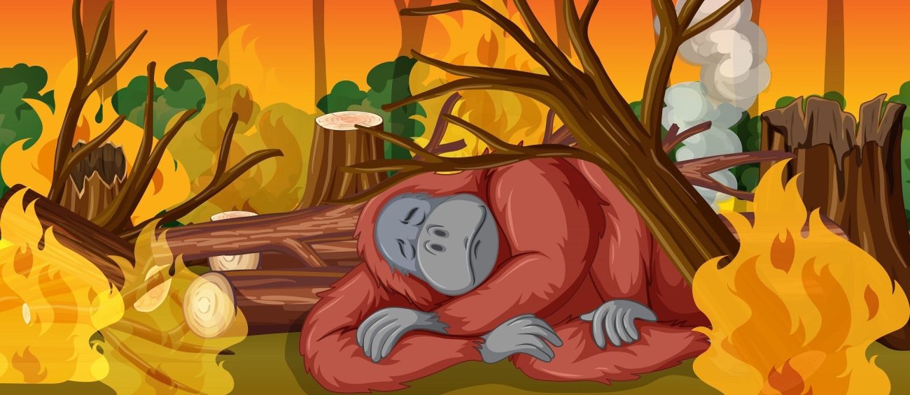 Top Trece de animales que desaparecen de Colombia y el Amazonas