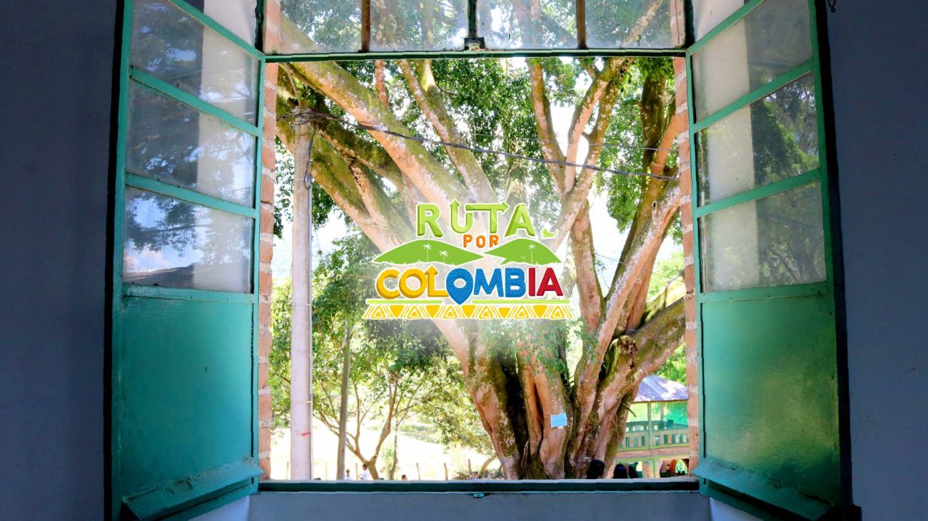 Ruta por Colombia: de las pantallas digitales a la televisión pública