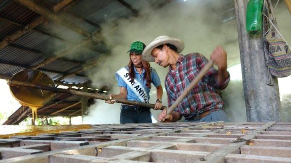 Villeta nuevamente de fiesta con el Festival Turístico de la Panela