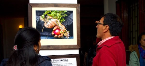 ‘Sabias montañeras’: fotografías que muestran quiénes cultivan nuestros alimentos