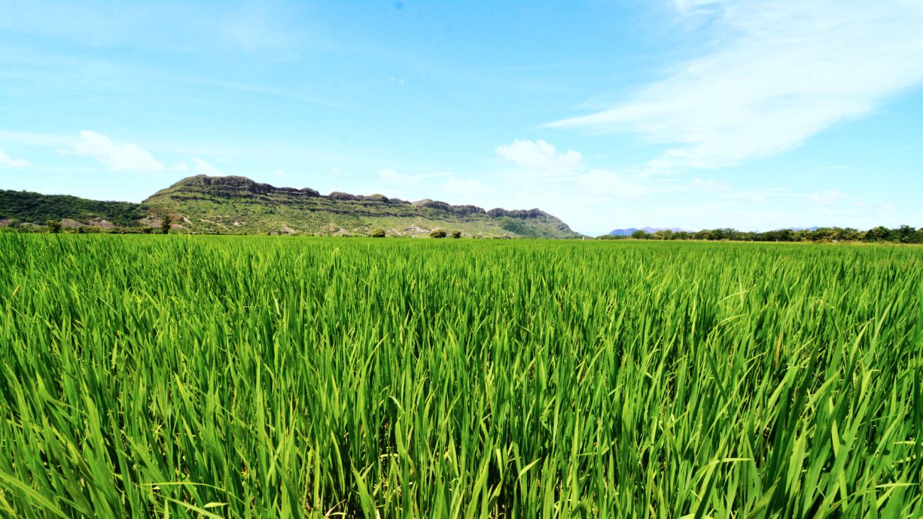 ¡Último día de la Convocatoria Región Trece 2021!