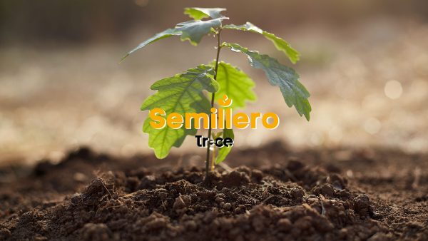 ¿Qué es Semillero Trece?
