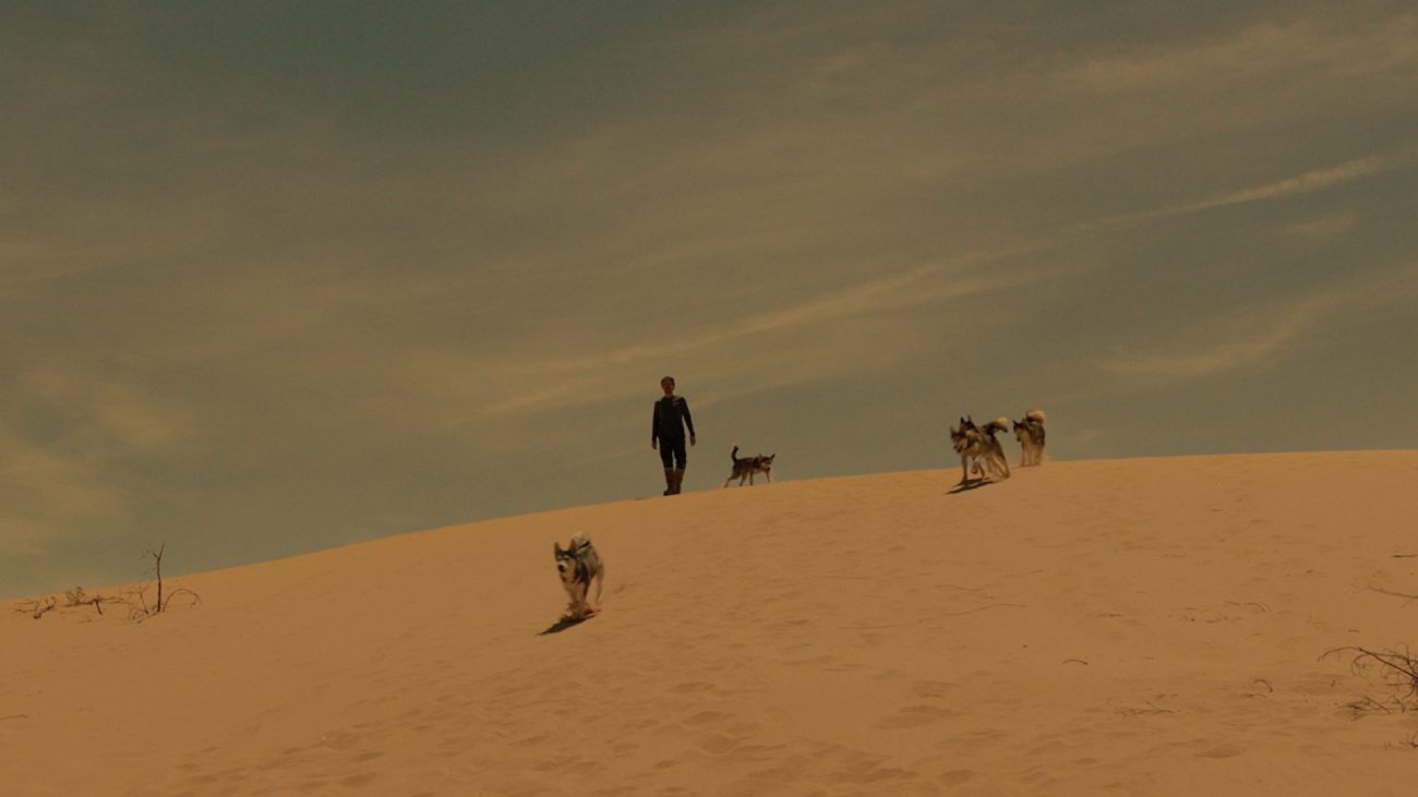 Bogotá International Film Festival: una 'edición viral' para un mundo en transformación