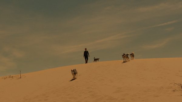 Bogotá International Film Festival: una 'edición viral' para un mundo en transformación