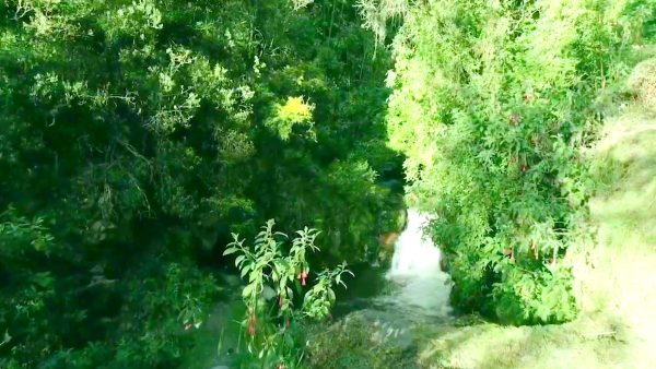 Reapertura de los senderos ecológicos de Bogotá: todo lo que debes saber