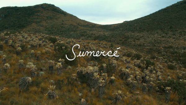 ‘Sumercé’ le pone el ojo a los páramos