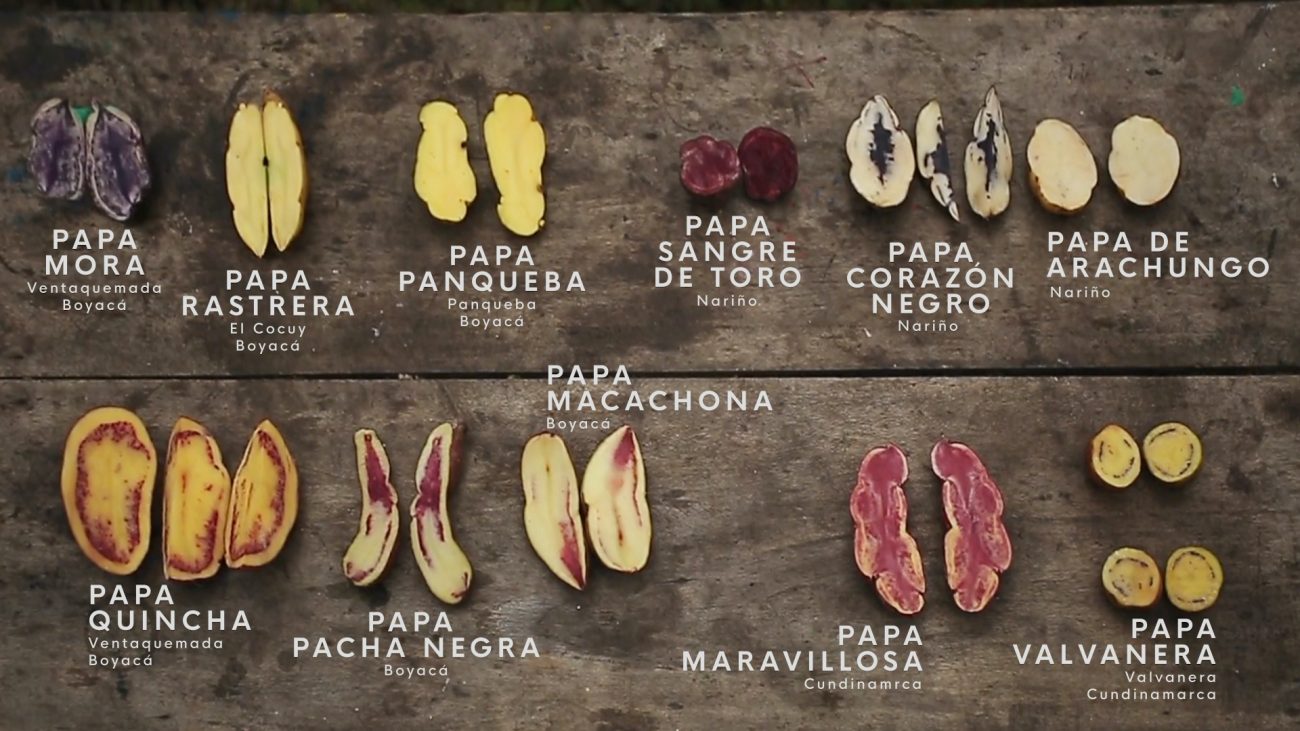 ¡Papa pa’ ti! ¡Papa pa’ mí! ¿Y a ti cuál papa te gusta?