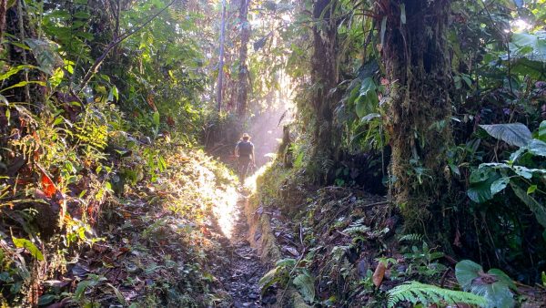 Barbacoas y sus reservas naturales, un viaje a territorios de oportunidad