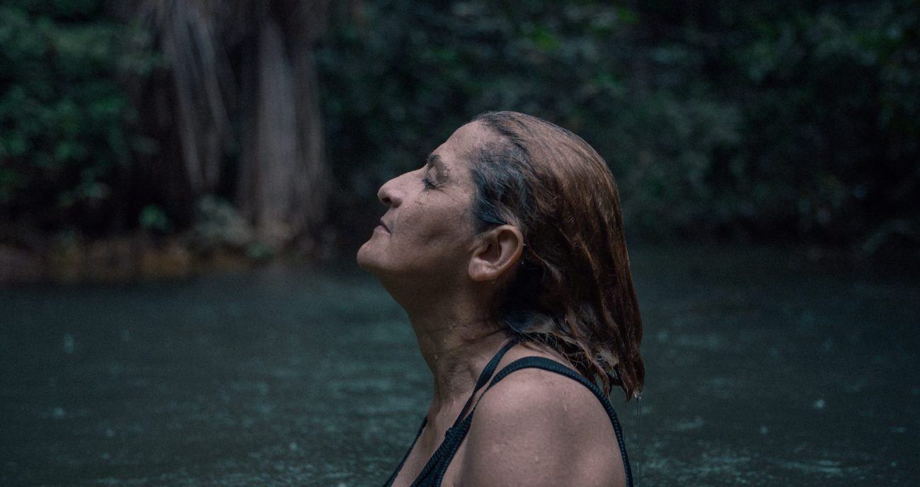 Regresa el Festival Internacional de Cine Ambiental Planet On