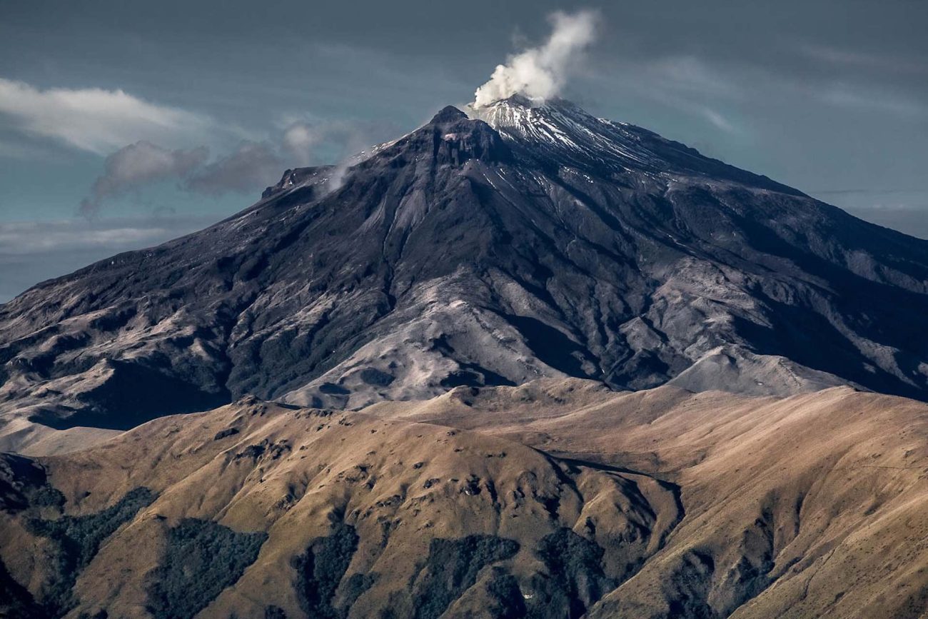 “Colombia en la cima”, la nueva exposición fotográfica del Jardín Botánico que celebra los superpáramos