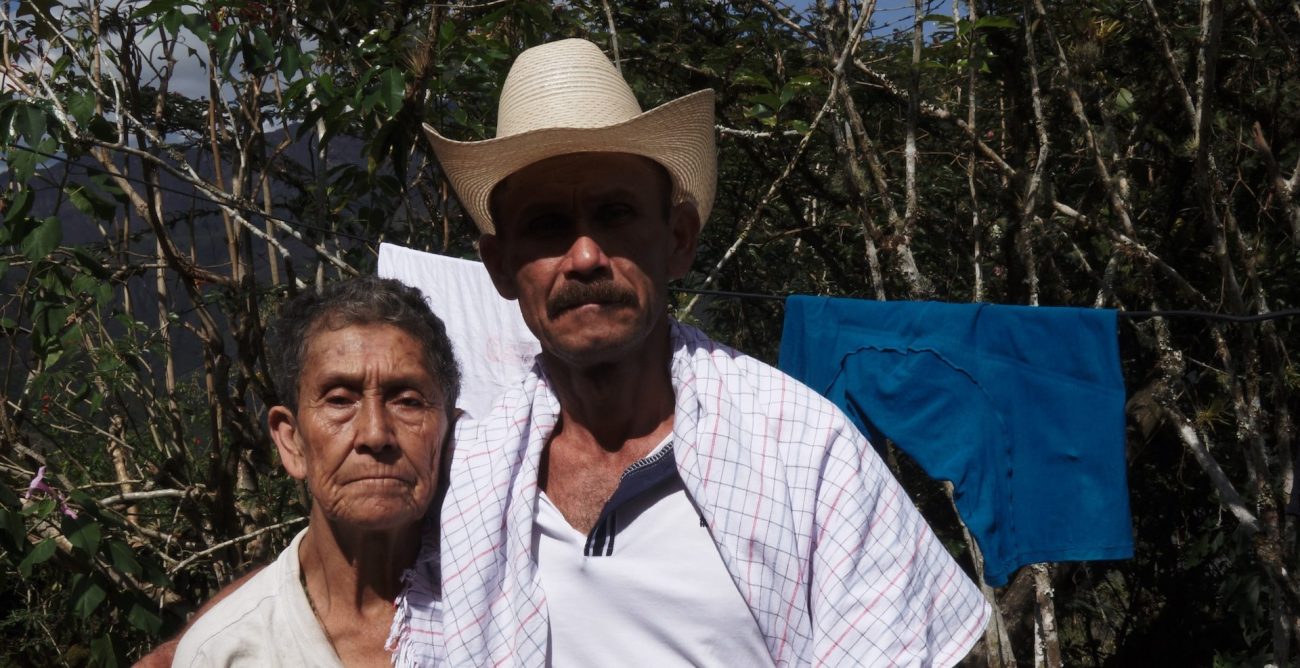 Llega a salas ‘Cicatrices en la tierra’, un documental íntimo sobre cuatro firmantes de paz