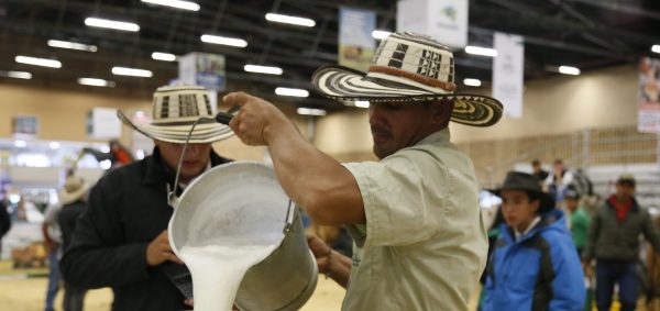 Agroexpo 2019: conoce la programación de la feria dedicada al campo colombiano