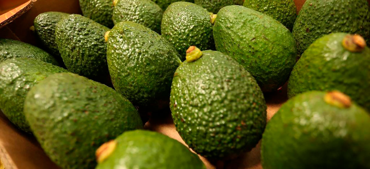 Los aguacates que llevan a Colombia al Super Bowl