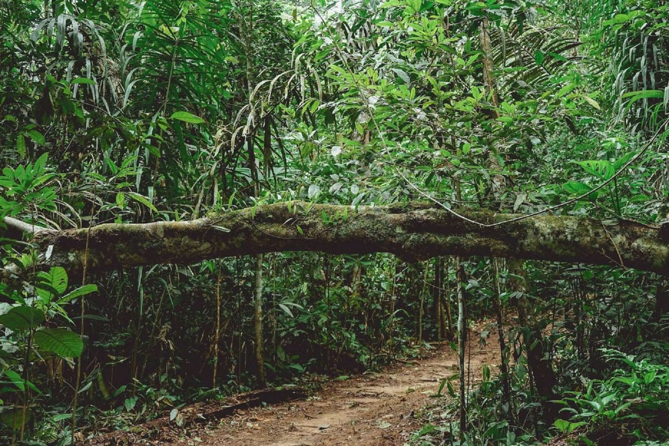 El Amazonas colombiano tiene uno de los mejores hoteles del mundo