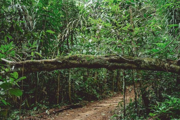 El Amazonas colombiano tiene uno de los mejores hoteles del mundo
