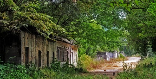 Aislados recuerdos de carne: Cinco poemas para recordar a Armero a 35 años de su desaparición