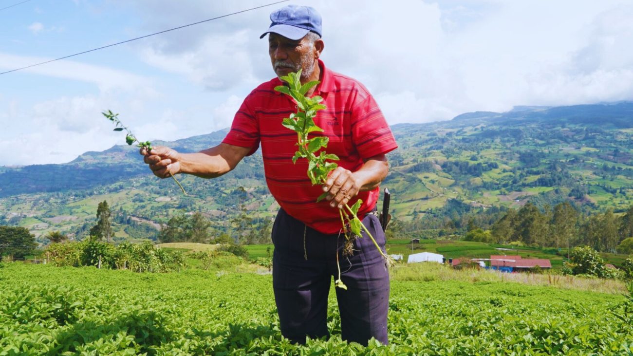 Expoaromáticas tendrá su segunda edición en Chipaque, Cundinamarca