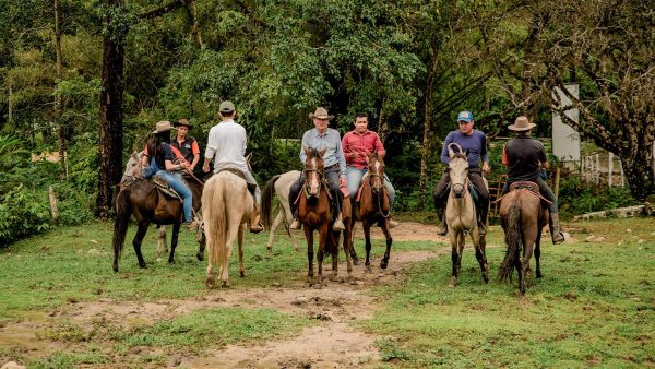 Nueva fecha Atardecer Llanero junto a Reynaldo Armas, Luis Silva y Aries Vigoth