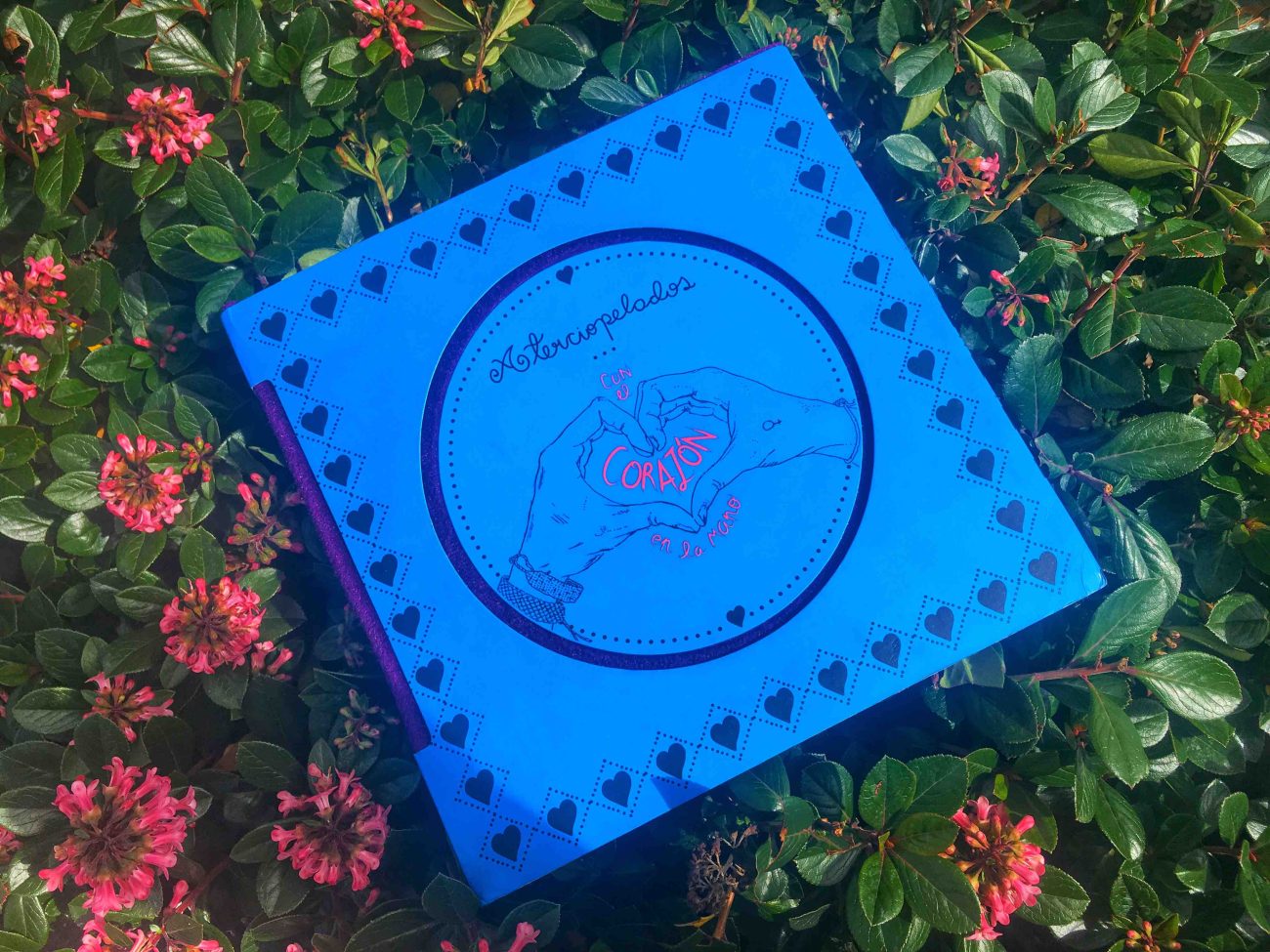 'Aterciopelados, con el corazón en la mano': la historia musical de una ciudad