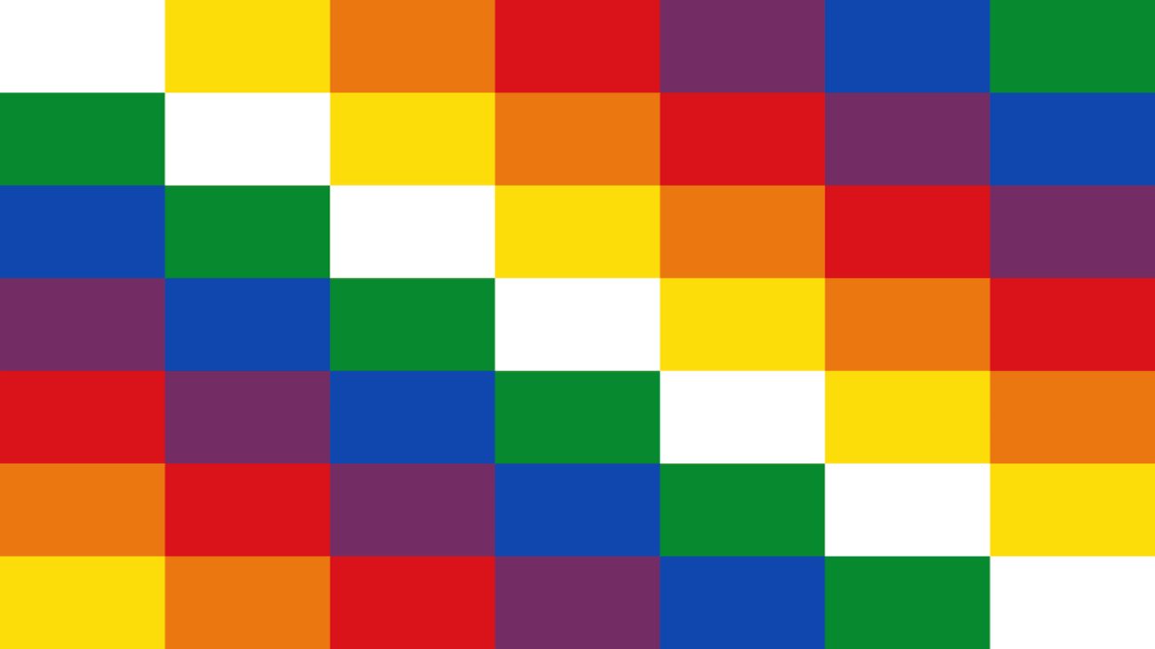 ¿Cómo está conformada la guardia indígena?