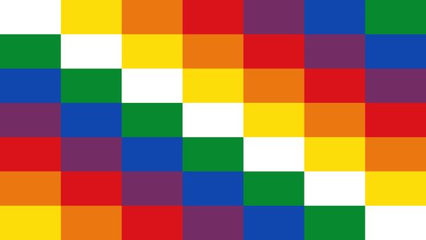 ¿Cómo está conformada la guardia indígena?