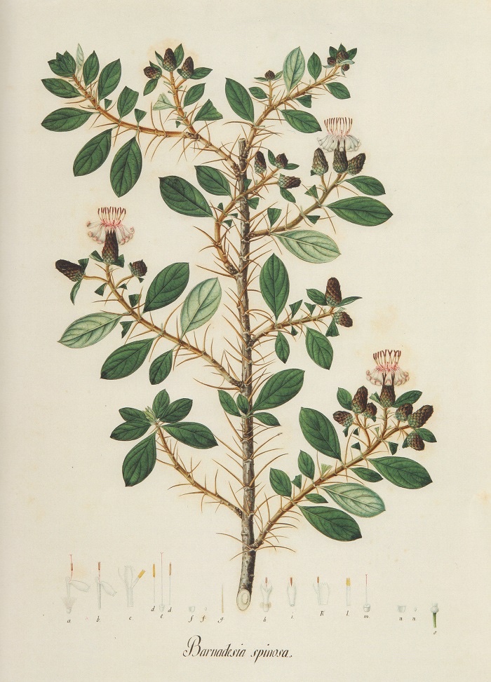 Así llegaron las ciencias naturales a Colombia