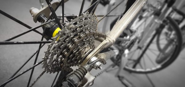 BiciGo: Tips para mantener el caballito con buena salud