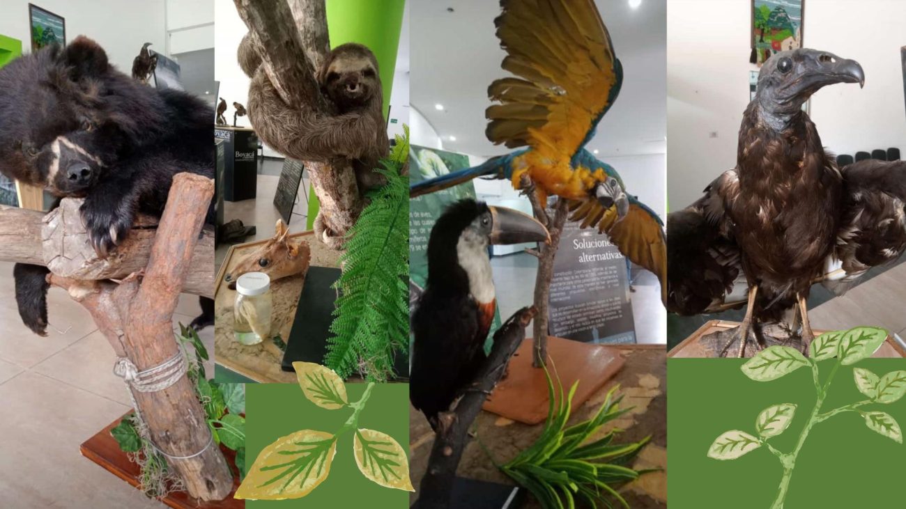 ¿Quiere saber más de los ecosistemas colombianos? En Tenjo, Cundinamarca, está el lugar ideal