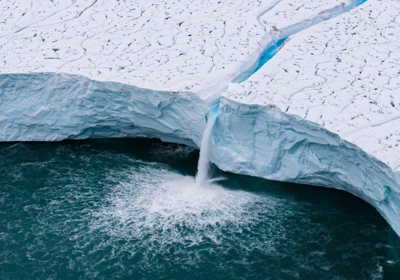 Con siembra de árboles y cine sobre el medio ambiente, vuelve el Festival de Cine Verde de Barichara