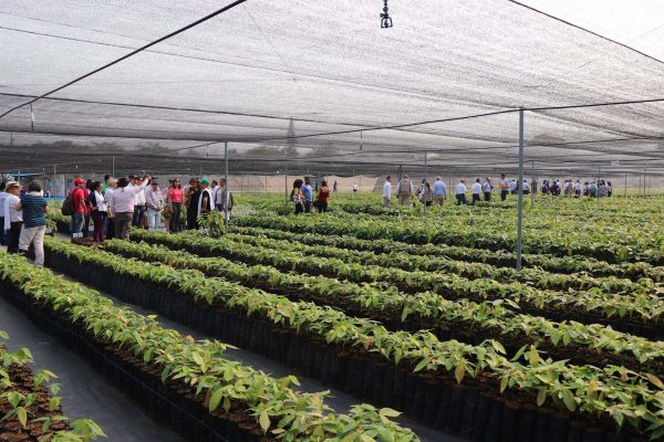 Colombia, un referente mundial del cacao