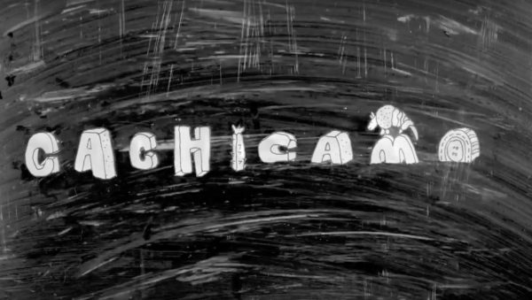 Cachicamo: arrugar papel hasta que parezca otra cosa