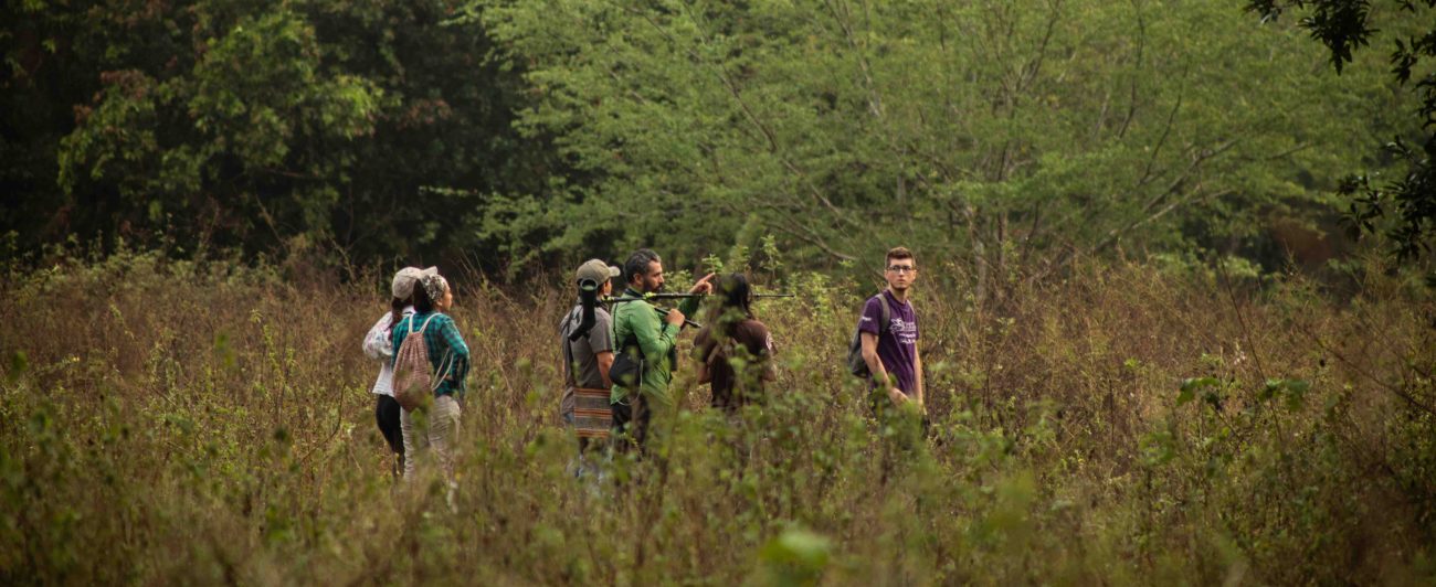 Caldas, departamento repleto de aves