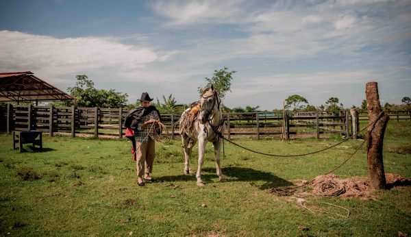 La ONU protege a los campesinos