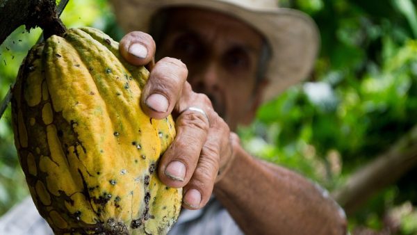 Identidad campesina: así se logró la primera encuesta en la historia de Colombia