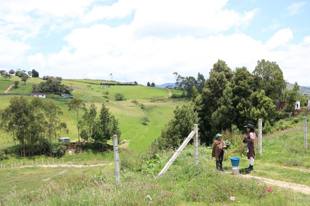La pandemia que no llegó a Campohermoso