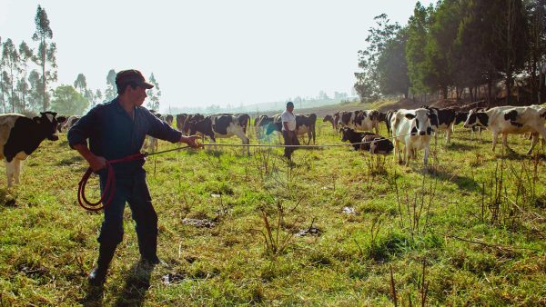 Lista de canciones del Día del Campesino