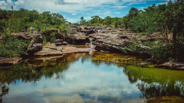 Así puedes participar en Cantoalagua desde tu región