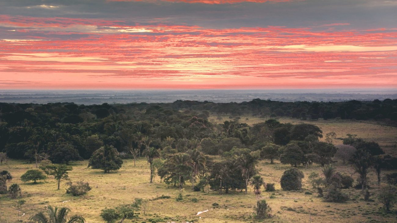 Cantos de vaquería: patrimonio inmaterial de la humanidad